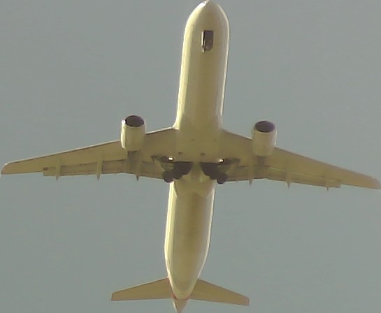 Airplane Picture