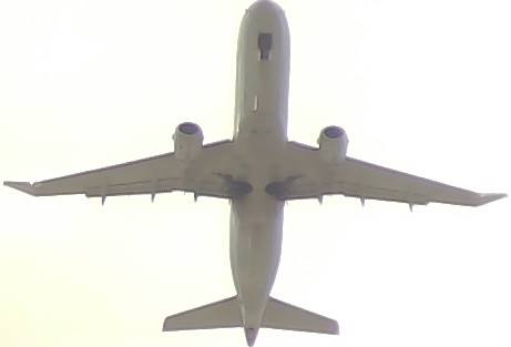 Airplane Picture