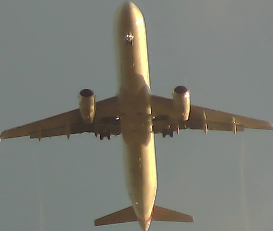 Airplane Picture