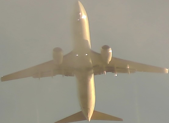Airplane Picture