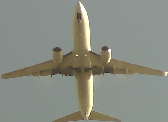 Airplane Picture
