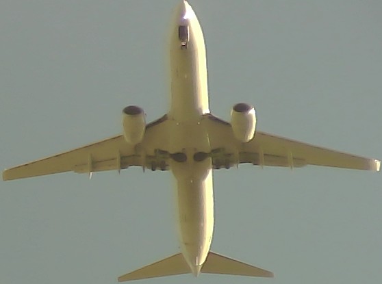 Airplane Picture