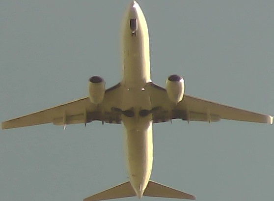 Airplane Picture