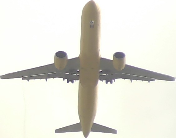 Airplane Picture