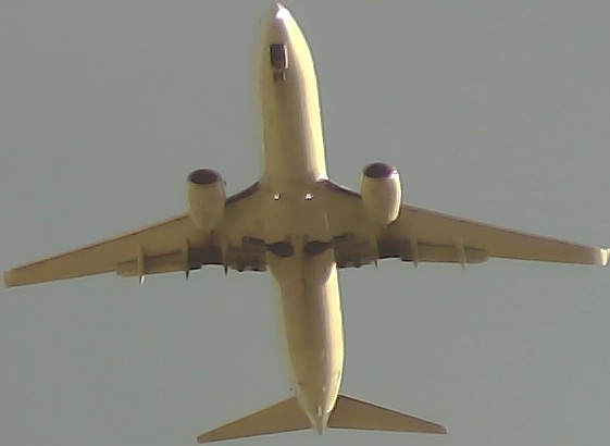 Airplane Picture