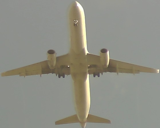 Airplane Picture