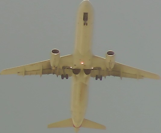 Airplane Picture