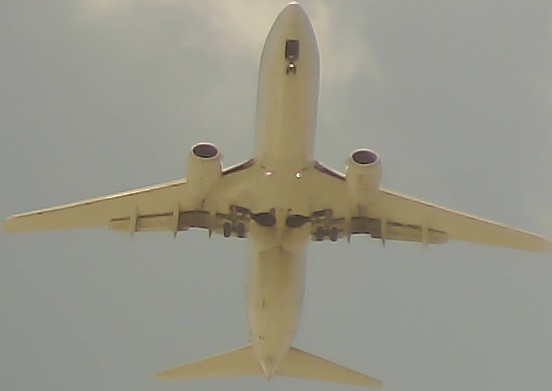 Airplane Picture