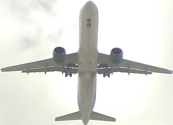 Airplane Picture