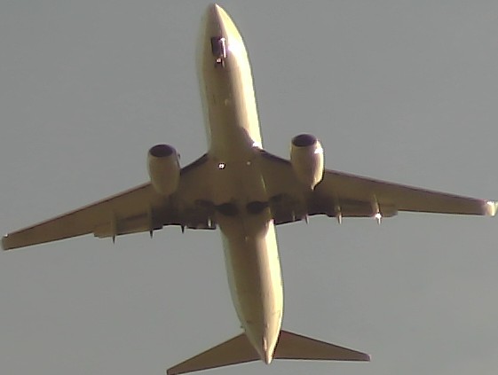Airplane Picture