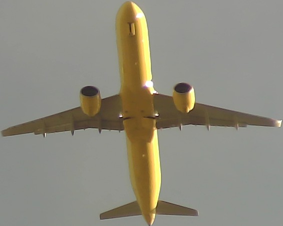 Airplane Picture