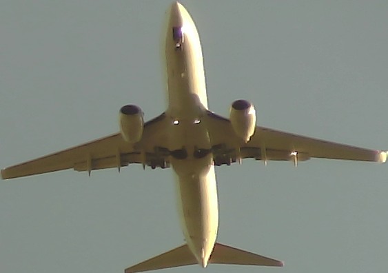 Airplane Picture