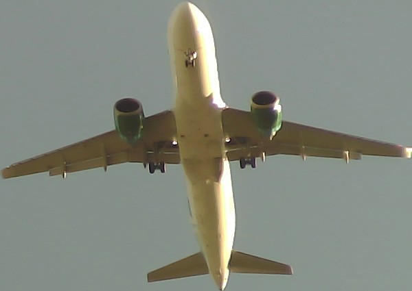 Airplane Picture