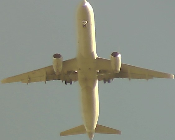Airplane Picture