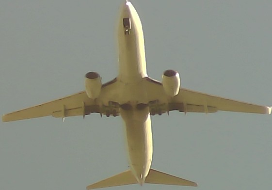Airplane Picture