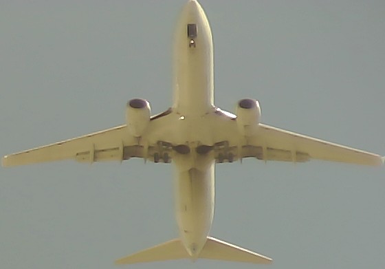 Airplane Picture
