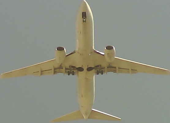 Airplane Picture