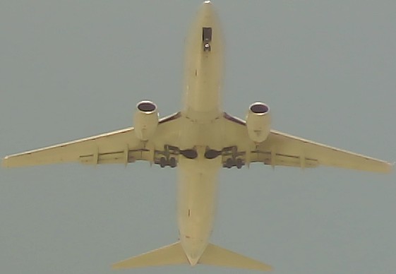 Airplane Picture