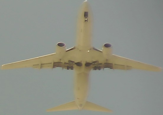 Airplane Picture