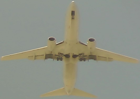 Airplane Picture