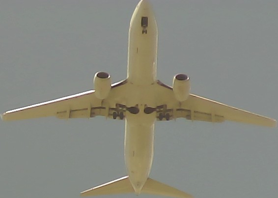 Airplane Picture