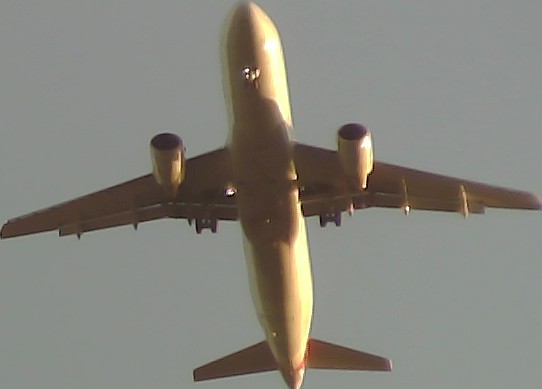 Airplane Picture