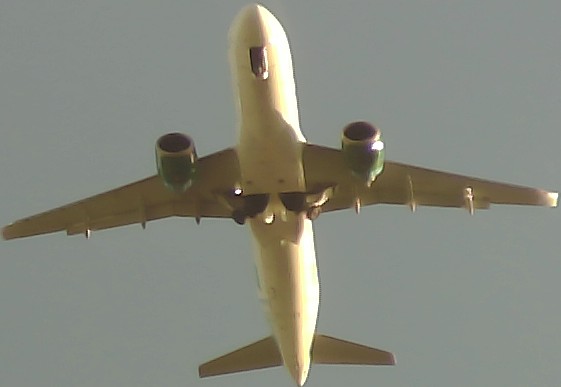 Airplane Picture