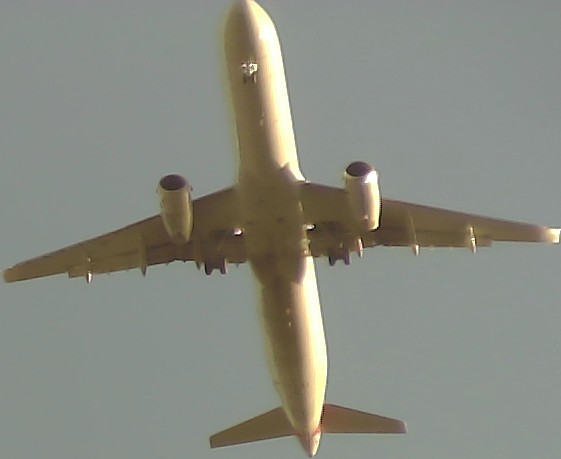 Airplane Picture