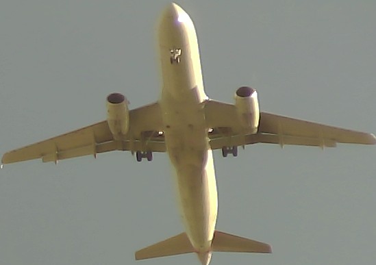 Airplane Picture