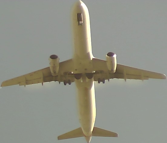 Airplane Picture