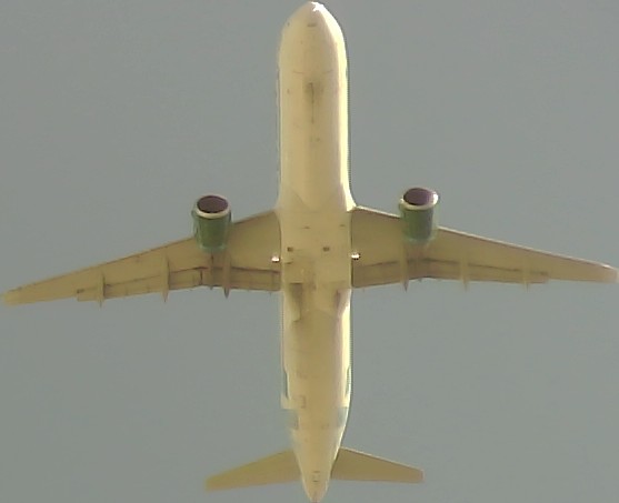 Airplane Picture