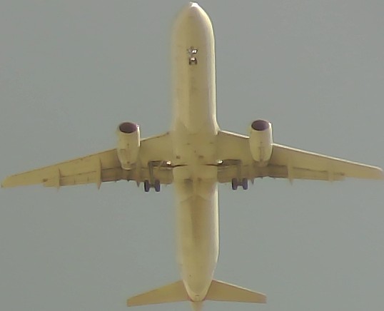 Airplane Picture