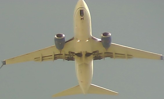 Airplane Picture