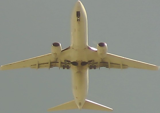 Airplane Picture