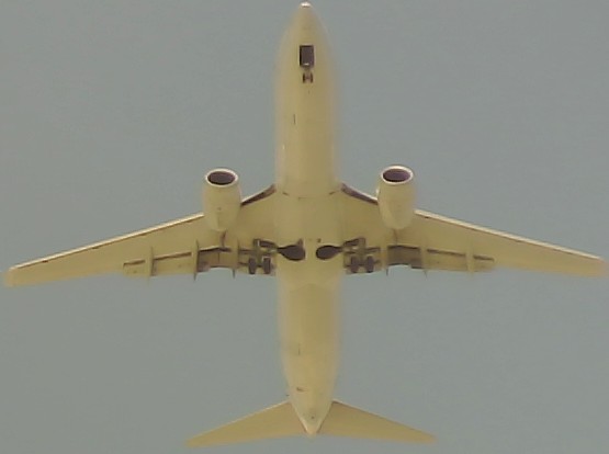 Airplane Picture