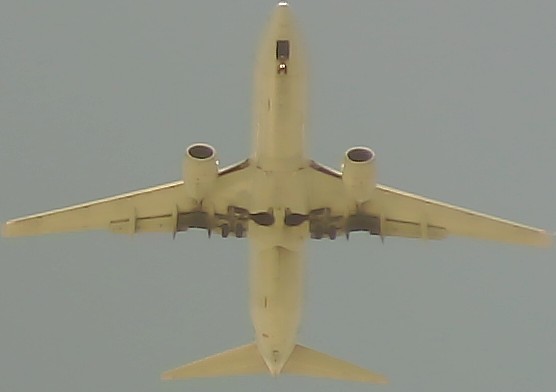 Airplane Picture