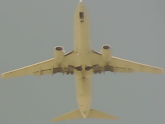 Airplane Picture