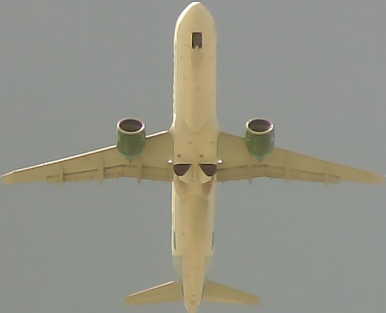 Airplane Picture
