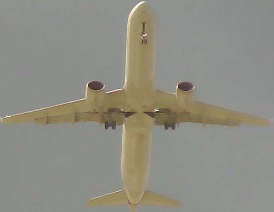 Airplane Picture