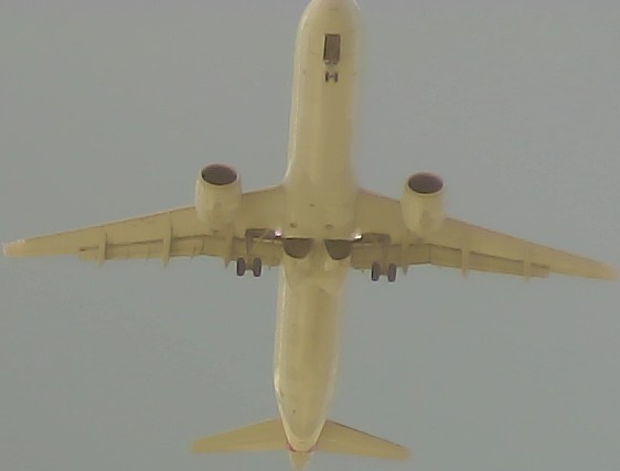 Airplane Picture