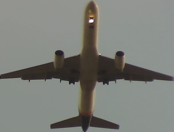 Airplane Picture