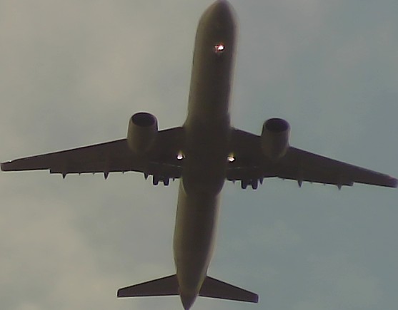 Airplane Picture