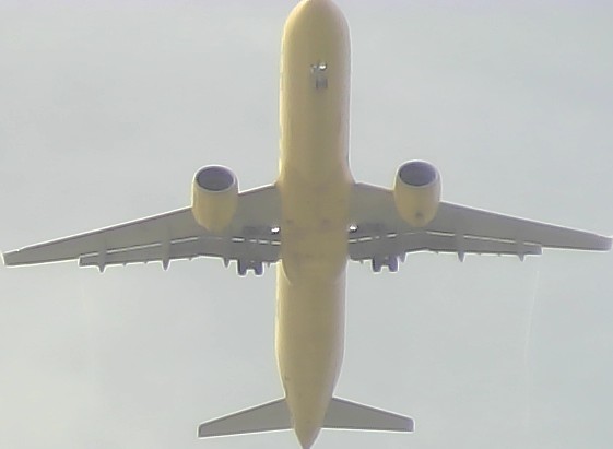 Airplane Picture