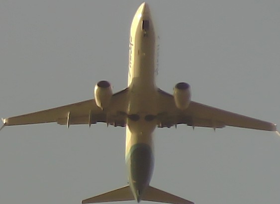 Airplane Picture