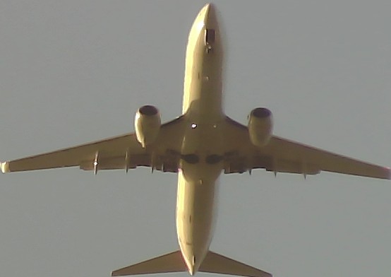 Airplane Picture