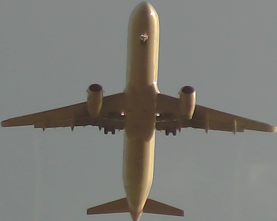 Airplane Picture