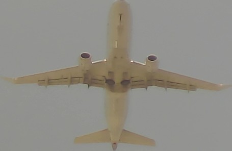Airplane Picture