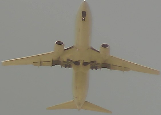 Airplane Picture