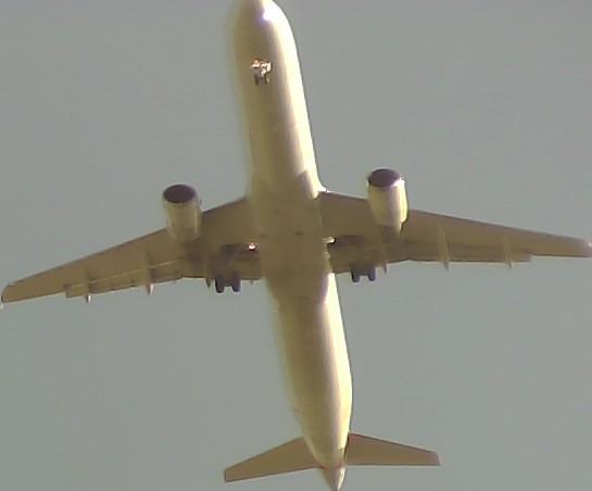 Airplane Picture