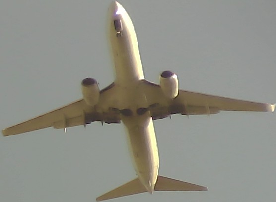 Airplane Picture